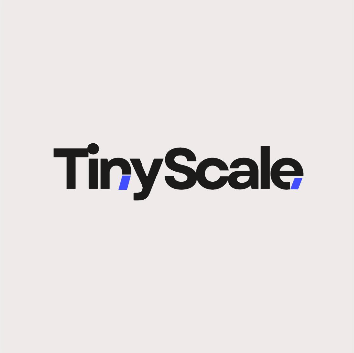 tinyScale AI